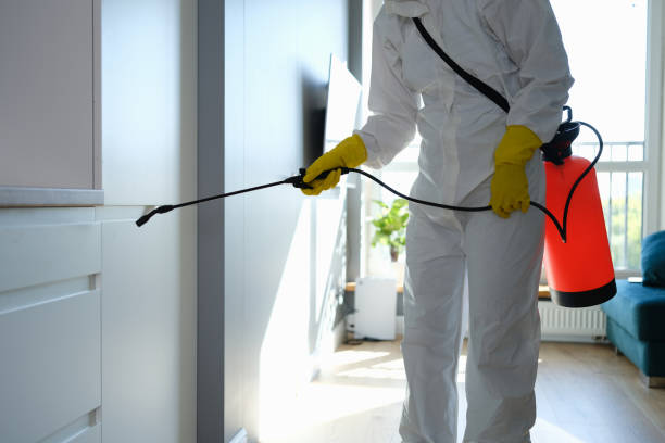 Best Mold Remediation for Healthcare Facilities  in Meron Park, CA
